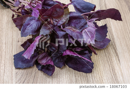 Basil leaves Basil leaves 18067103