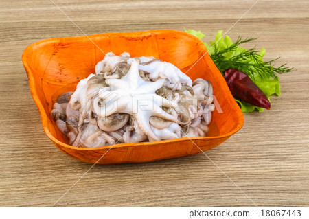 Raw baby octopus 18067443