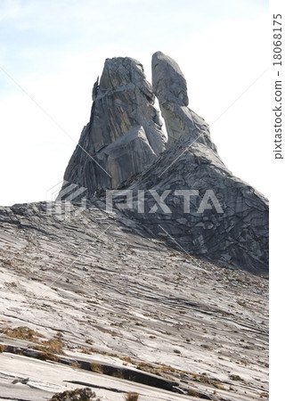 Oiwa near the summit of Kinabalu "Donkey's ear" (East Malaysia / Borneo Island) 18068175