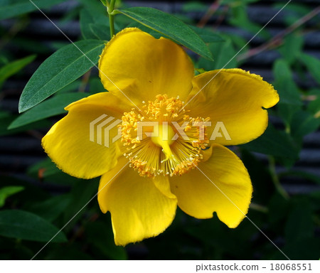 Hipercam · Hidcoat 18068551