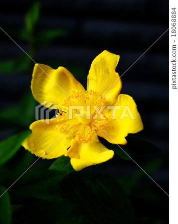 Hipercam · Hidcoat 18068884