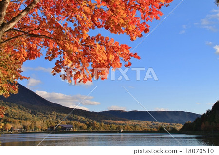 湖女神 湖女神 18070510