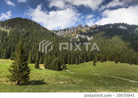 Wooden hut in Chocholowska valley, Tatra Mountains Wooden hut in Chocholowska valley, Tatra Mountains 18070945