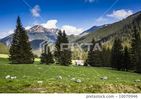 Chocholowska valley, Tatra Mountains, Poland Chocholowska valley, Tatra Mountains, Poland 18070946