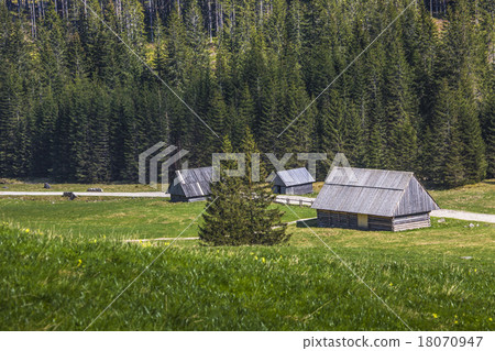 Wooden hut in Chocholowska valley, Tatra Mountains Wooden hut in Chocholowska valley, Tatra Mountains 18070947