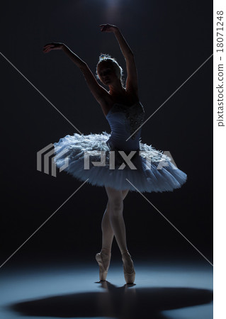 Portrait of the ballerina in ballet tatu on dack Portrait of the ballerina in ballet tatu on dack 18071248