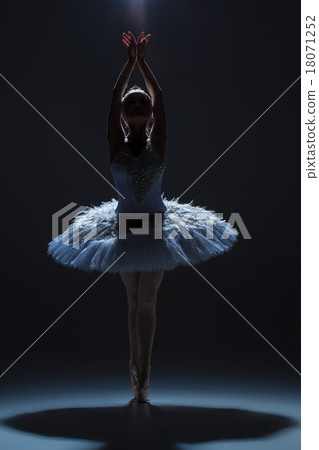 Portrait of the ballerina in ballet tatu on dack Portrait of the ballerina in ballet tatu on dack 18071252