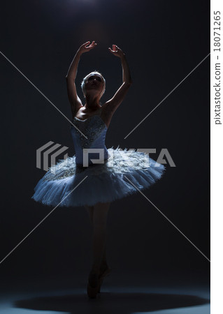 Portrait of the ballerina in ballet tatu on dack Portrait of the ballerina in ballet tatu on dack 18071265