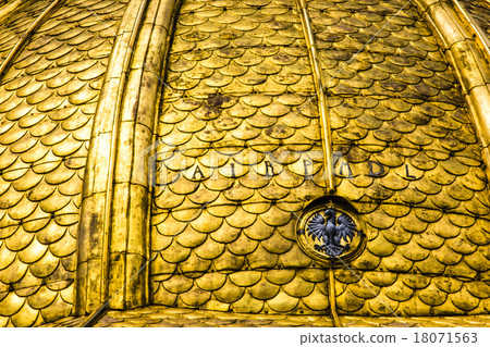 Fragment of Wawel Cathedral. 18071563