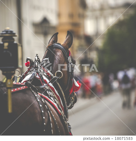 Horses and carts on the market in Krakow, Poland. Horses and carts on the market in Krakow, Poland. 18071583