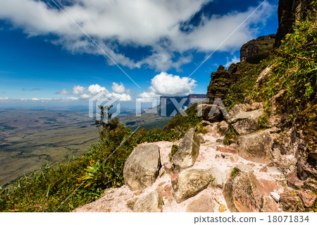 Track to Mount Roraima - Venezuela, South America 18071834