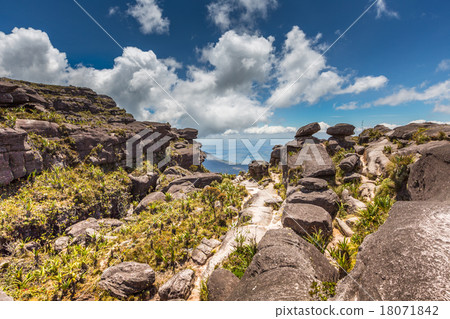 The view from the plateau of Roraima  18071842
