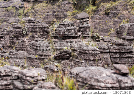 Bizarre ancient rocks of the plateau Roraima tepui 18071868