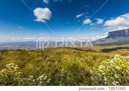 The view from the plateau of Roraima 18071882