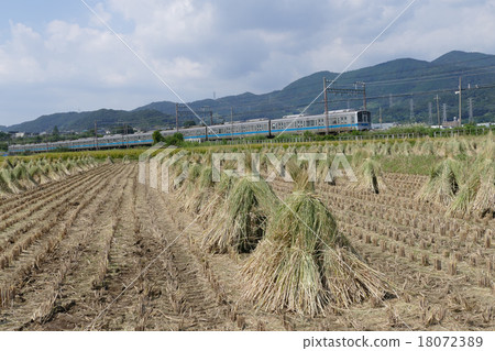 在鶴見溫泉附近的小田急線1000 18072389