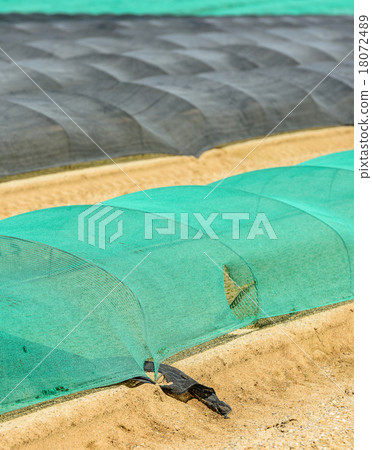 greenhouse for growing fruit and vegetables 18072489