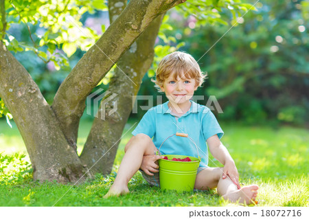 Happy funny kid boy eating raspberries in home's garden 18072716