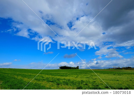 Proceeding on the plain (41) 18073018