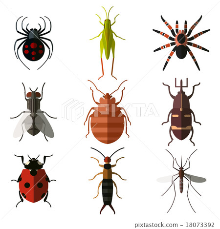 Set of insect flat icons3 18073392