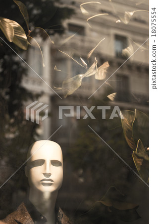Shop dummy fashion store clothes mannequin 18075554