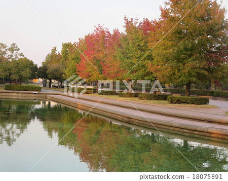 The trees of the park that started to color 18075891