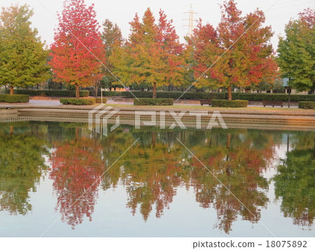 The trees of the park that started to color 18075892
