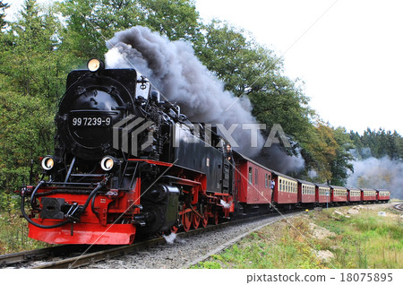 Harz Narrow Gauge Railway Harz Narrow Gauge Railway 18075895