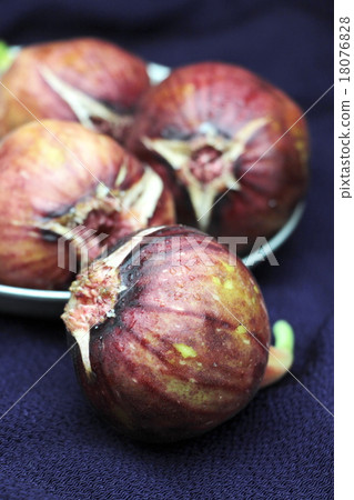 figs figs 18076828