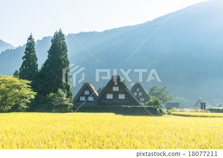 Shirakawago of autumn and early morning [Inaho and the architectural community building] 18077211