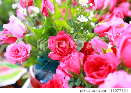 圖庫照片: pink rose bouquet