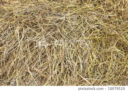 Dry hay Dry hay 18079520