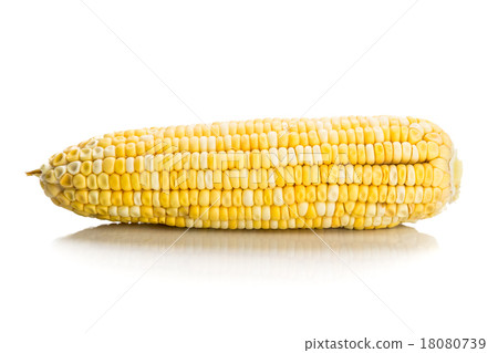 Fresh corn maize cob kernel seeds without husk 18080739