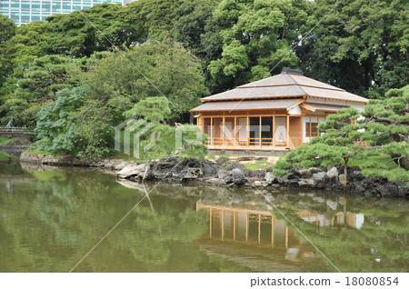 A tea room A tea room 18080854