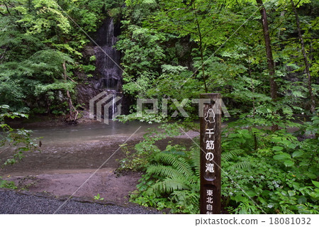 Oshirase的Senjuku瀑布 18081032