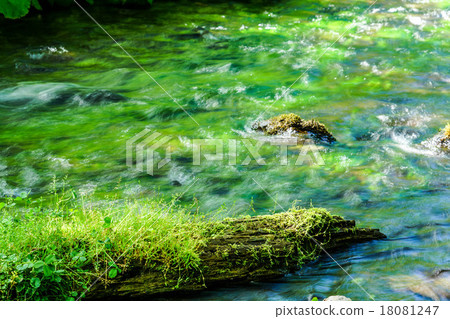 溪流染綠（弟子加鎮） 18081247