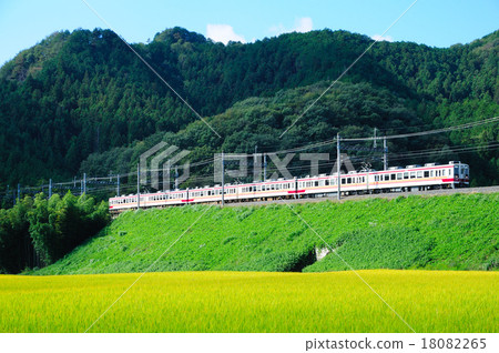 Tobu Nikko Line Express train going down the embankment of Shimane 18082265