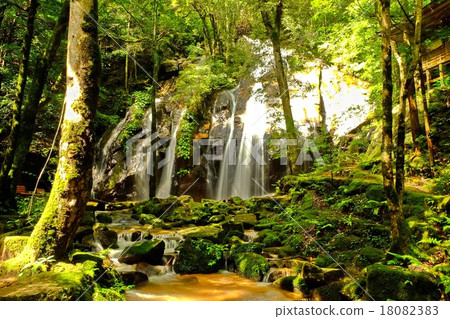 Kyoto · Tango Peninsula) Kinkei Waterfall (Miyazu City) 2 18082383
