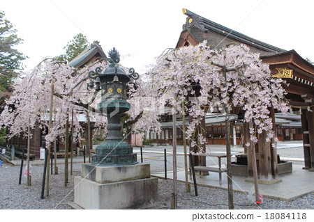 櫻花和水上商店 18084118