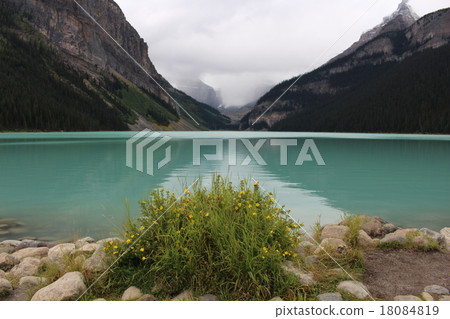 加拿大岩石湖路易絲看法 18084819