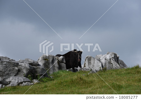 Shikoku karst Shikoku karst 18085277