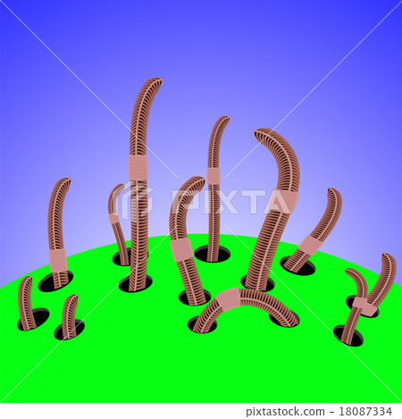 Red Worms Climbs Red Worms Climbs 18087334