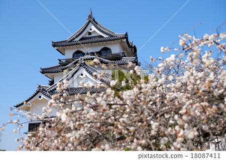 彥根城堡 18087411