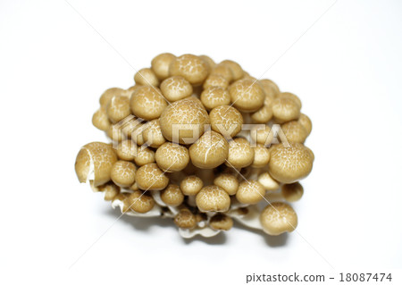 白色背景和白色背景＃2 18087474