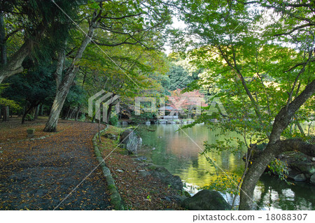 那須野神社(Shizunuma) 那須野神社(Shizunuma) 18088307