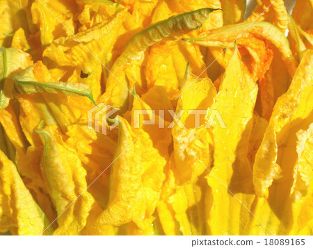 Courgette flowers 18089165