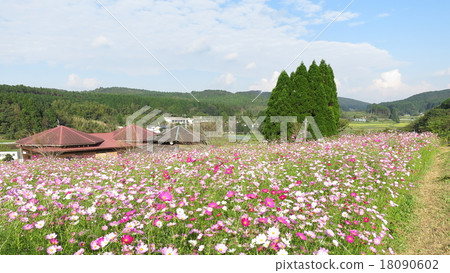 宇宙盛開 宇宙盛開 18090602