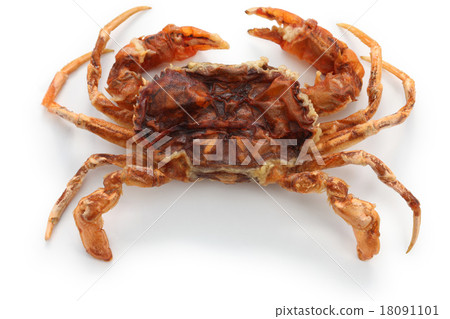 Soft Shell Club Soft Shell Club 18091101