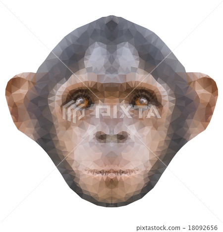Head of a monkey in triangle style. Head of a monkey in triangle style. 18092656