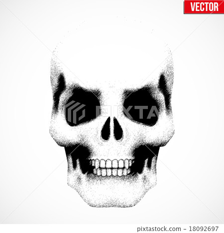 Human skull in sketch style. Human skull in sketch style. 18092697