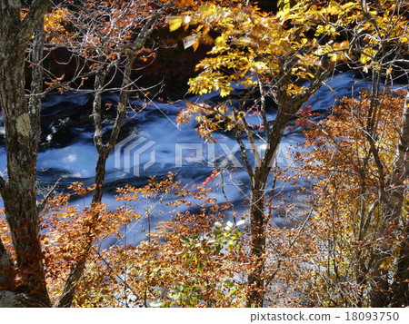 Autumn leaves of Oku-Nikko Ryusou Falls 18093750